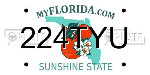 224TYU Florida License Plate