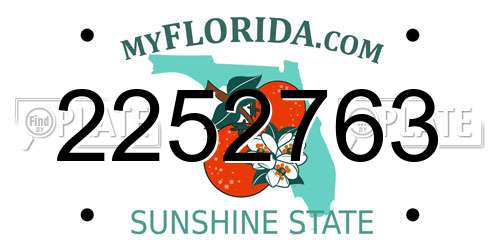 2252763 Florida License Plate