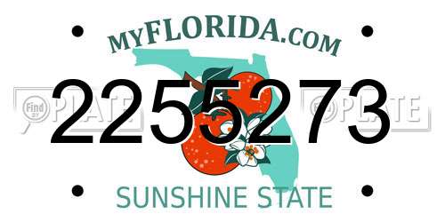 2255273 Florida License Plate