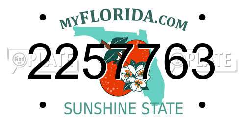 2257763 Florida License Plate