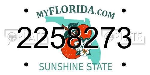 2258273 Florida License Plate