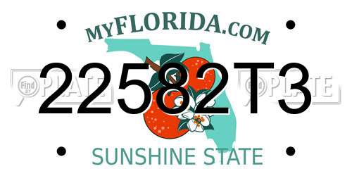 22582T3 Florida License Plate