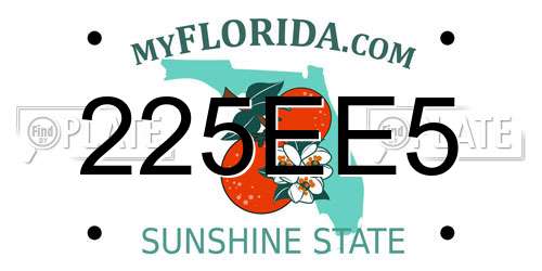 225EE5 Florida License Plate