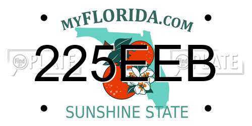 225EEB Florida License Plate