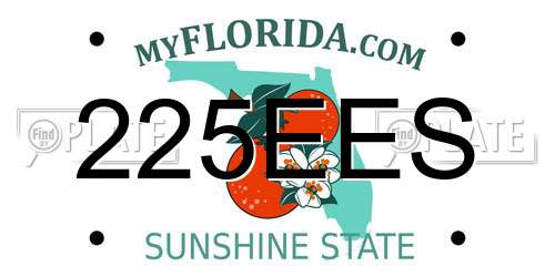 225EES Florida License Plate