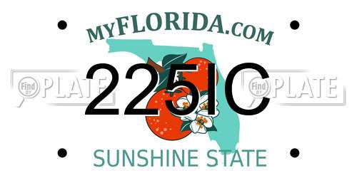 225IC Florida License Plate
