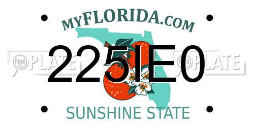 225IE0 Florida License Plate