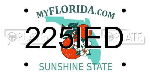 225IED Florida License Plate
