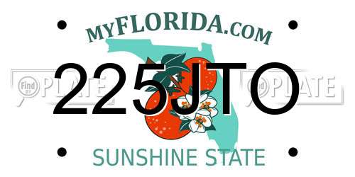 225JTO Florida License Plate