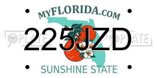 225JZD Florida License Plate