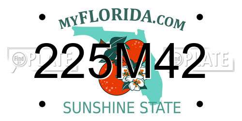 225M42 Florida License Plate