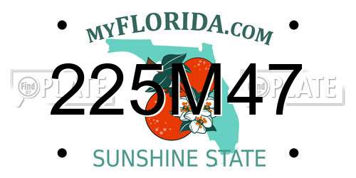 225M47 Florida License Plate