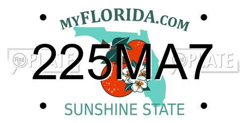 225MA7 Florida License Plate
