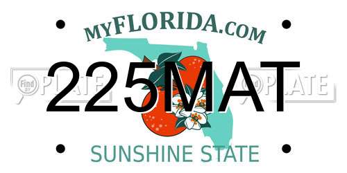 225MAT Florida License Plate