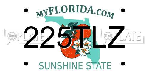 225TLZ Florida License Plate