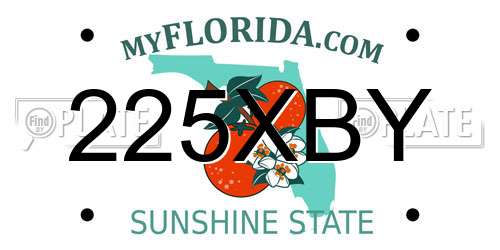 225XBY Florida License Plate