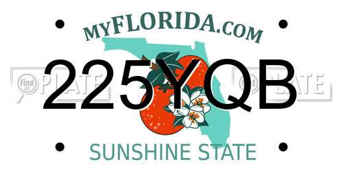 225YQB Florida License Plate