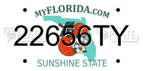 22656TY Florida License Plate