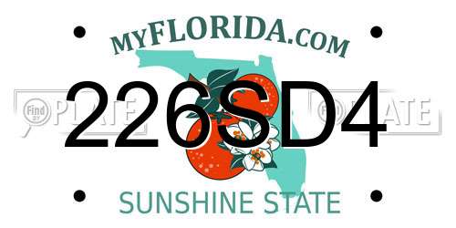 226SD4 Florida License Plate