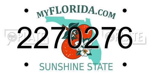 2270276 Florida License Plate