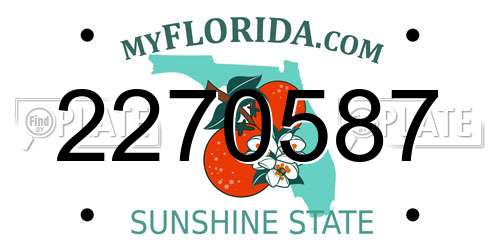 2270587 Florida License Plate
