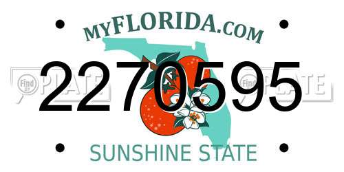 2270595 Florida License Plate