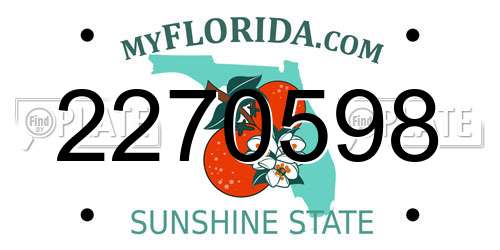 2270598 Florida License Plate