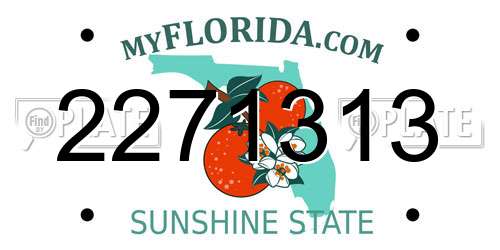 2271313 Florida License Plate