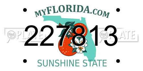 227813 Florida License Plate