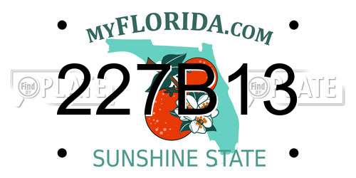 227B13 Florida License Plate