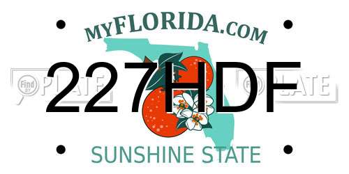 227HDF Florida License Plate