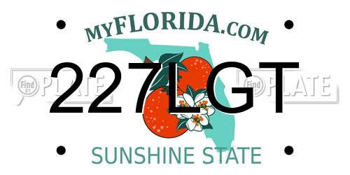 227LGT Florida License Plate