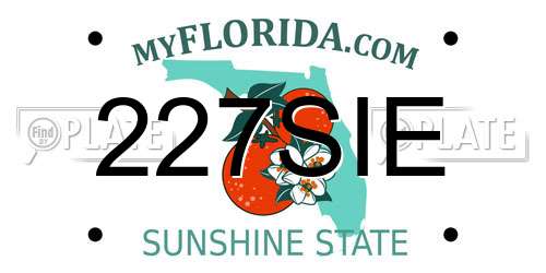 227SIE Florida License Plate