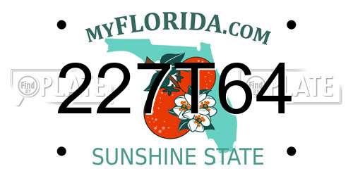 227T64 Florida License Plate
