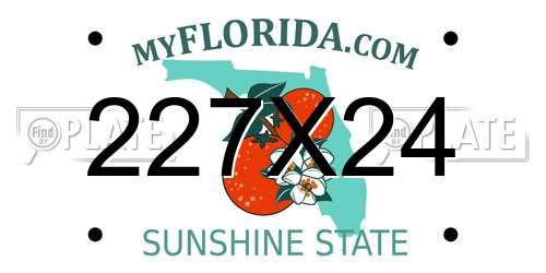 227X24 Florida License Plate