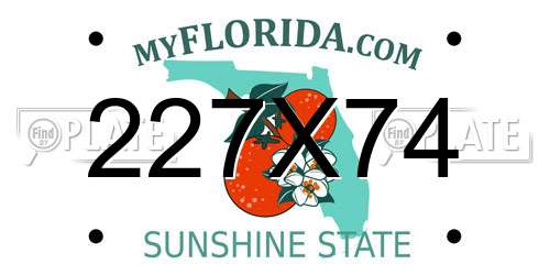 227X74 Florida License Plate