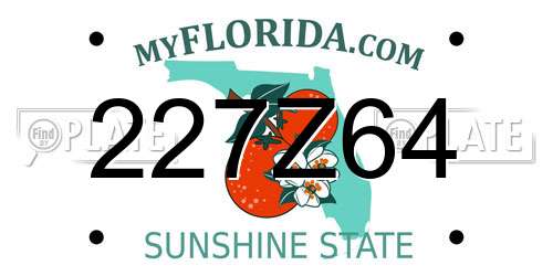 227Z64 Florida License Plate