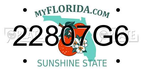 22807G6 Florida License Plate