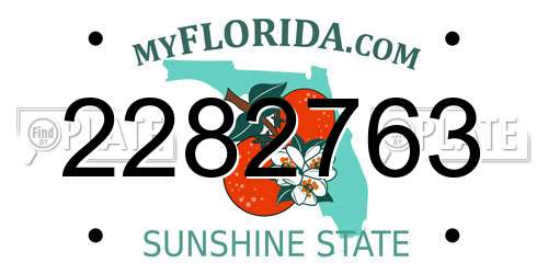 2282763 Florida License Plate