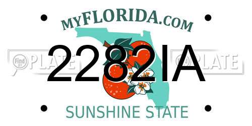 2282IA Florida License Plate