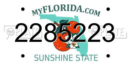 2285223 Florida License Plate