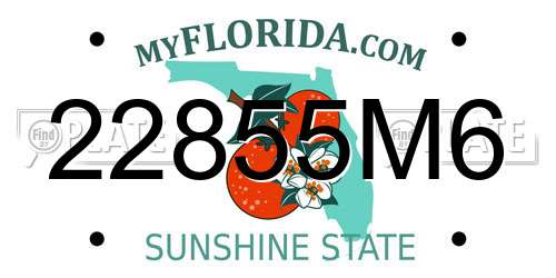22855M6 Florida License Plate