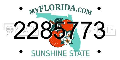 2285773 Florida License Plate