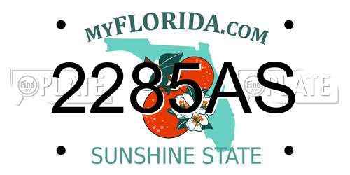 2285AS Florida License Plate