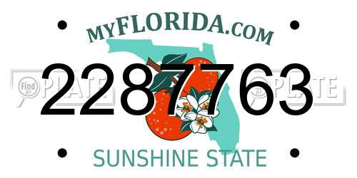2287763 Florida License Plate