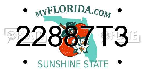 22887T3 Florida License Plate