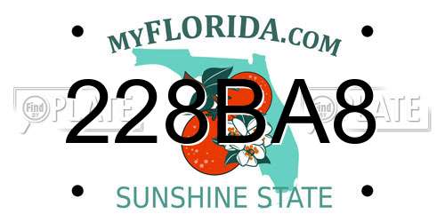 228BA8 Florida License Plate