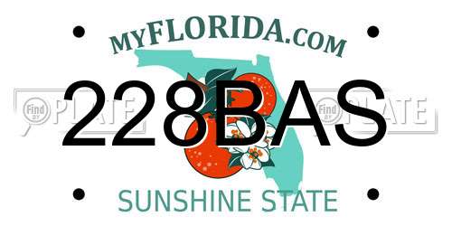 228BAS Florida License Plate