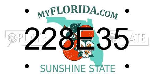 228E35 Florida License Plate