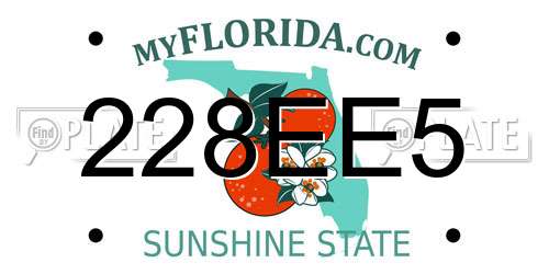 228EE5 Florida License Plate